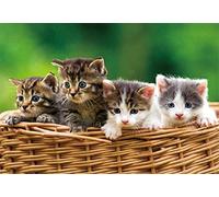 Lot de 2 sets de table 3D en forme de chats, animaux, chatons, animaux domestiques