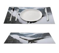 Lot de 2 sets de table en PVC résistants à la chaleur lavables et antidérapants pour table de salle à manger, table de salle à manger, cuisine, décoration de salle à manger - 30,5 x 45,7 cm