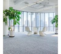 Lot de 2 soucoupes rondes en résine PP pour pots de plantes grasses d'intérieur pour éviter les dommages causés par l'eau et les taches (15,2 cm)