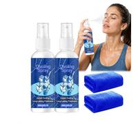 Lot de 2 sprays rafraîchissants à la menthe pour le refroidissement de l'été, n'irrite pas la peau chaude, refroidissement instantané longue durée, pour le visage et le corps