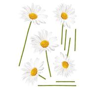 Lot de 2 Stickers Autocollants Photo Marguerites Blanches 30x21cm, Déco Murale Intérieure pour Maison et Bureau, Décoration Murale Intérieure.