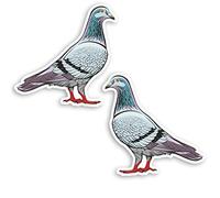 Lot de 2 stickers en vinyle Motif pigeons 10 cm