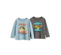 Lot de 2 t-shirts à manches longues pour enfants, motif fossile musée, gris et bleu, Lot de 2, 3-4 ans