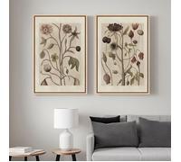 Lot de 2 Tableaux Botaniques Vintage-Impression sur Toile Murale Illustration 41x61cm avec Cadre Flottant
