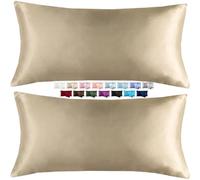 Lot de 2 Taie d'oreiller Satin, Taie Oreiller en Soie,Housse de Coussin 50x65 50x75 50x90 50x100 Taies d'oreillers avec Fermeture(Champagne,50x65 cm Set of 2)