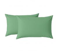 Lot de 2 taies d’Oreiller 45 x 70 cm en Microfibre, Fermeture zippée, Ultra Douces, Vert Clair