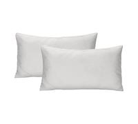 Lot de 2 Taies d'oreiller 40x135cm avec Fermeture Éclair, Housses de Coussin 100% Microfibre Douce et Respirante - Gris