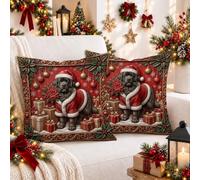 Lot de 2 taies d'oreiller de Noël avec fermeture éclair, douces, respirantes et esthétiques, en velours pour canapé, salon, lit (30,5 x 30,5 cm, rouge)