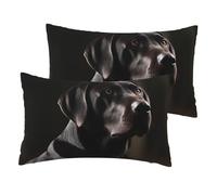 Lot de 2 taies d'oreiller en lin français, motif labrador noir, taille standard 30,5 x 50,8 cm, respirantes et rafraîchissantes pour toutes les saisons, taies d'oreiller douces avec fermeture éclair