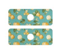 Lot de 2 tapis de robinet inclinés en diatomée pour évier de cuisine - Empêche l'accumulation d'humidité - 37,3 x 13,7 cm - Fruits de groseille du Cap