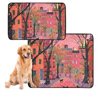 Lot de 2 tapis d'urine pour chien - Lavables et antidérapants - 61 x 91,4 cm + 91,4 x 106,7 cm - Rues et chats
