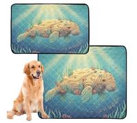 Lot de 2 tapis pipi pour chiens avec pieds boueux, lavables et antidérapants pour la plage, 61 x 91,4 cm + 91,4 x 106,7 cm, collage de prairie en jonc de mer Dugong