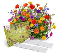 Lot de 2 tapis semences de fleurs pour jardinière de balcon - Fleurs colorées avec longue période de floraison - Idéal pour votre balcon, jardin et prairie florale