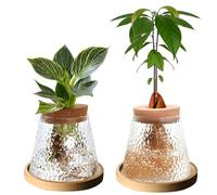 Lot de 2 terrariums de propagation en verre, station pour boutures, support de bureau, vase pot de fleurs pour la culture de plantes hydroponiques (B)
