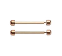 Lot de 2 tiges à vis pour bracelet de montre - Fermoir à broche de friction - Accessoire de réparation pour montre - 16/18/20/22 mm - Fermoir à boucle - Tube de friction - Tige de montre connectée