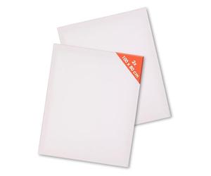 Lot de 2 toiles XL sur châssis - 100 x 80 cm - Toile d'art avec toile de lin apprêtée 3 fois - Toile de peinture basique en coton pour peinture acrylique et peinture à l'huile - Accessoires d'artiste
