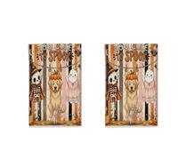 Lot de 2 torchons de cuisine à séchage rapide Motif chien labrador retriever d'Halloween amusant et effrayant - Cadeau de pendaison de crémaillère pour cuisine, salle de bain