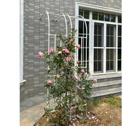 Lot de 2 treillis de jardin demi-arche en métal, tonnelle de jardin pour plantes grimpantes, roses, vignes, fleurs, pelouse, jardin, décoration de fête de mariage, assemblage facile (couleur : blanc,