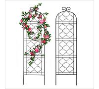Lot de 2 treillis de jardin pour vignes et plantes grimpantes en plein air, treillis en fil de fer pour pergola d'escalade en pot, concombre, tomate, rose, légumes, fleurs (152,4 x 40,6 cm, noir)