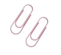 Lot de 2 trombones multicolores en forme de dessin animé pour organiser des fichiers, projets d'artisanat, reliures décoratives en papier