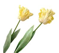 Lot de 2 tulipes artificielles de 68,1 cm, fausses fleurs artificielles pour perroquet, tulipes à longue tige pour décoration de maison, bureau (jaune)