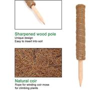 Lot De 2 Tuteurs Extensibles Plantes Grimpantes 2025 - Mousse Coco - Jardinage