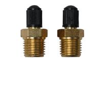 Lot de 2 valves de pneu en laiton de 6,35 mm, valve de remplissage de réservoir gonflable pour voiture, moto