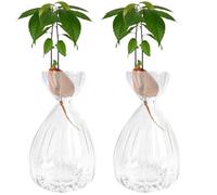Lot de 2 vases à pousses de graines d'avocat, style rayé, vases en verre pour avocat, vases en verre pour la maison, table, bureau, décoration intérieure (transparent)