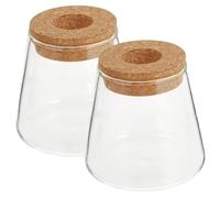 Lot de 2 vases de propagation pour plantes, pots de propagation en verre avec couvercle en bois réutilisables pour la culture de plantes hydroponiques