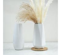Lot de 2 vases en céramique, blancs, décoration bohème, pour herbe de la pampa, fleurs séchées, petits vases modernes pour nappe, bibliothèque, salon, salle de bain, bureau