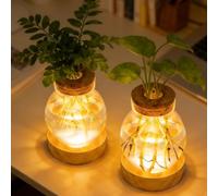 Lot de 2 vases lumineux en verre à LED - Station de propagation de plantes avec base en bois - 3 modes d'éclairage - 3 niveaux - Éclairage LED à intensité variable - Pour plantes hydroponiques
