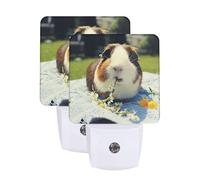 Lot de 2 veilleuses LED à brancher en forme de cochon d'Inde avec capteur du crépuscule à l'aube - Marche/arrêt automatique - Veilleuse murale pour chambre d'adultes et enfants - Décoration de chambre