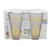Lot De 2 Verres Cristal Mat Harry Potter 490Ml