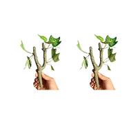 Lot de 2 vignes grimpantes pour reptiles, ermites, crabes à crête, geckos, terrariums, décoration d'habitat, branche d'escalade pour reptiles