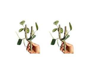 Lot de 2 vignes grimpantes pour reptiles, ermites, crabes à crête, geckos, terrariums, décoration d'habitat, branche d'escalade pour reptiles