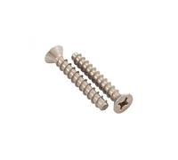 Lot de 2 vis pour grille de bonde de fond de piscine anti vortex - SPX1030Z2A - Hayward Gris