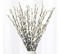Lot de 20 branches de chaton en saule préservées - 40 cm véritables chatons en osier séchés avec fleurs blanches, décoration d'intérieur naturelle pour vase, mariage, ferme, cheminée, décoration de