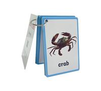 Lot de 20 cartes d'étude d'animaux marins pour enfants - Cartes d'apprentissage précoce pour enfants - Pour salle de classe - Aide à l'enseignement des langues - Cartes éducatives multisensorielles