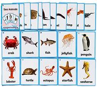 Lot de 20 Cartes Flash Animaux Marins pour Tout-Petits|Jeu de Cartes éducatives spéciales pour l'apprentissage de Routine|Idéal pour Les crèches, Les Enseignants, Les thérapeutes autistes 11 x 7,6cm