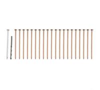 Lot de 20 clous en cuivre de 10,2 cm, clous en cuivre pour enlever les racines des arbres, outil essentiel pour éliminer les souches