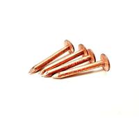 Lot de 20 clous en cuivre pour toiture en feutre d'arbre, 30 mm, 38 mm, 50 mm (30 mm x 3,35 mm)