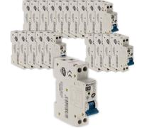 Lot de 20 disjoncteurs 16A PH/N - NF - Zenitech