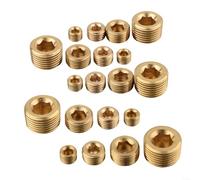 Lot de 20 douilles hexagonales en laiton NPT 1/8 1/4 3/8 1/2" pour installation d'extrémité de tuyau dans les systèmes de fluide et de gaz