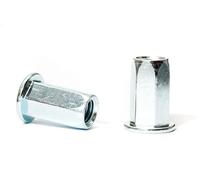 Lot de 20 écrous à rivets aveugles M6 x 16 mm avec tige hexagonale et tête plate plaquée zinc AN322