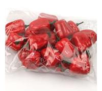 Lot de 20 faux légumes pour une utilisation éducative et décorative - Chili rouge, pomme de terre, carotte et ail (piment rouge B)
