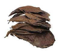 Lot de 20 feuilles d'amande indiennes Catappa pour poissons tropicaux Bettas Crevettes, feuilles de catappa pour bernard-ermite, fournit un abri et de la nourriture, crée un abri et un espace