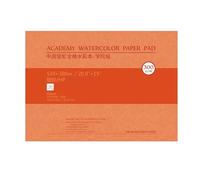 Lot de 20 feuilles de papier aquarelle en coton 300 g sans acide, design professionnel pour artistes et étudiants, papier aquarelle à haute capacité d'absorption