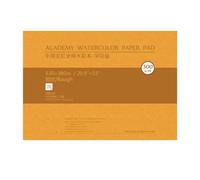 Lot de 20 feuilles de papier aquarelle en coton 300 g sans acide, design professionnel pour artistes et étudiants, papier aquarelle à haute capacité d'absorption