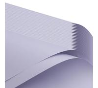 Lot de 20 feuilles de papier kraft de couleur unie pour arrangements floraux et emballages - Papier d'emballage pour bouquet floral