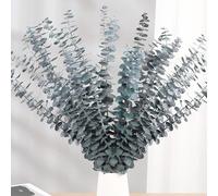 Lot de 20 fleurs séchées naturelles de 43 cm, plante d'eucalyptus vert frais naturel en branches de feuilles d'eucalyptus royales pour décoration de maisons, fêtes (bleu)
